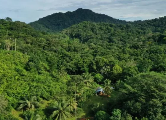 76 migrantes venezolanos están desaparecidos en la Selva del Darién