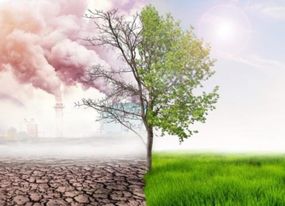 App para medir el cambio climático