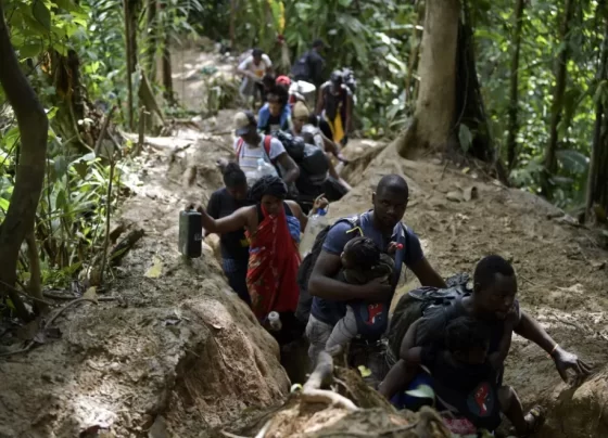 Casi 50.000 migrantes llegaron a Panamá en 2022 atravesando selva Darién