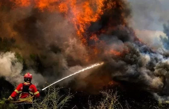 Devastadores incendios forestales se propagan en el Mediterráneo