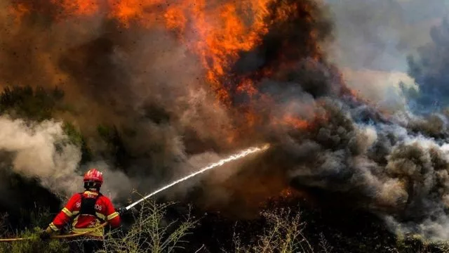 Devastadores incendios forestales se propagan en el Mediterráneo