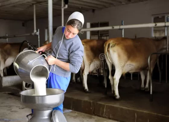 Más de 100 mil litros de leche se perdieron y productores piden corredor humanitario