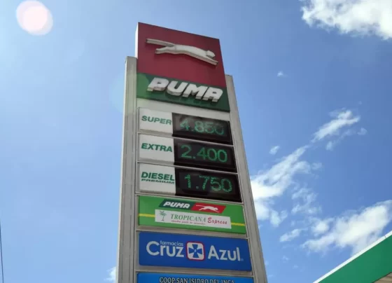 Nuevas gasolinas para plan piloto plus 89 y eco plus 89 se posterga al 12 de agosto