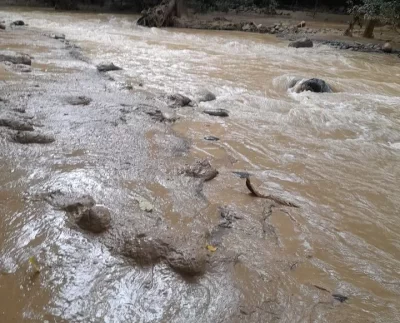 Se desborda laguna minera en Abangares y ocasiona muerte de faunas en dos ríos