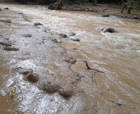 Se desborda laguna minera en Abangares y ocasiona muerte de faunas en dos ríos