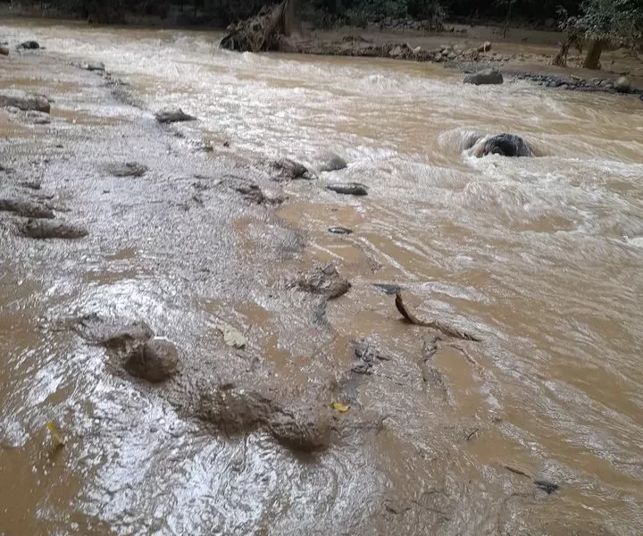 Se desborda laguna minera en Abangares y ocasiona muerte de faunas en dos ríos