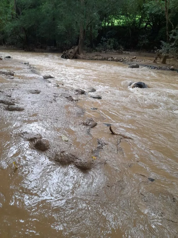 Se desborda laguna minera en Abangares y ocasiona muerte de faunas en dos ríos