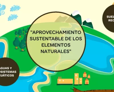 Terminología Ambiental