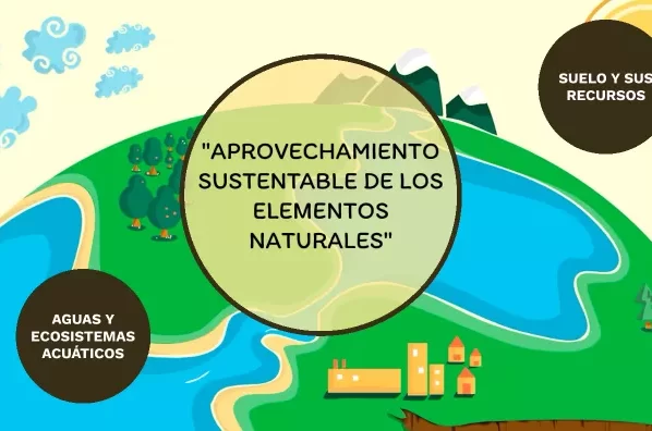 Terminología Ambiental