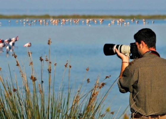 Vacaciones con las aves