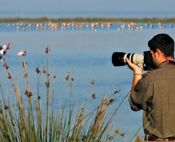 Vacaciones con las aves
