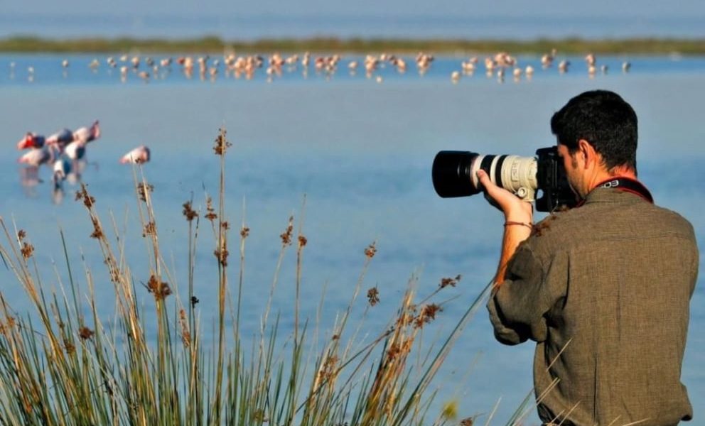 Vacaciones con las aves