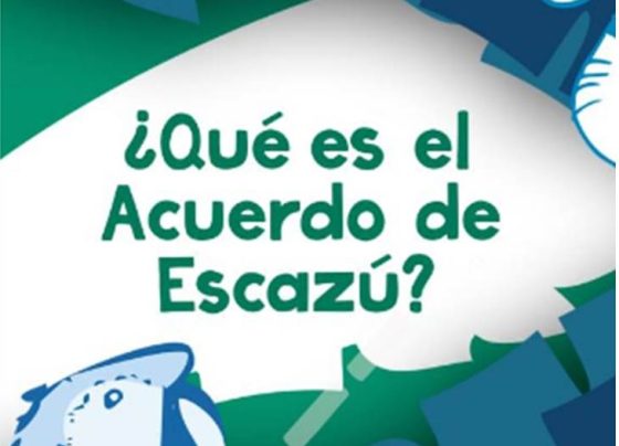 , las obligaciones de los Estados de proteger a las personas defensoras del ambiente, aquellas que trabajan para proteger el ambiente y los derechos de todos los que dependemos de él.