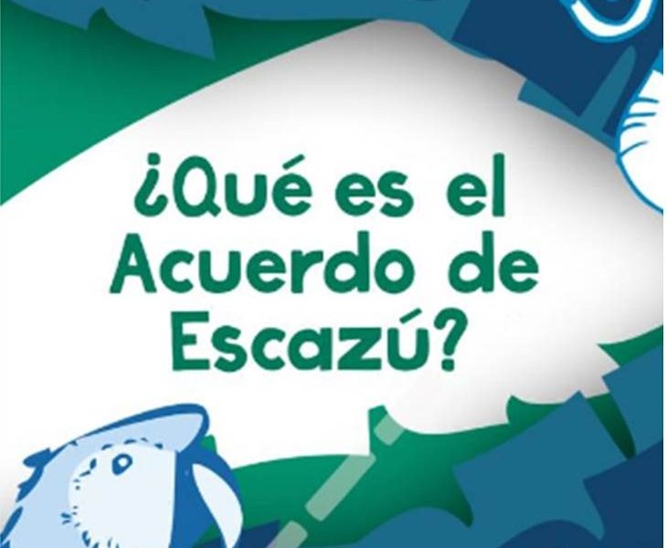, las obligaciones de los Estados de proteger a las personas defensoras del ambiente, aquellas que trabajan para proteger el ambiente y los derechos de todos los que dependemos de él.
