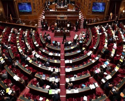 La aprobación fue sancionada con 201 votos a favor y 115 en contra, después de una intensa discusión entre la representación de la derecha y la izquierda en el Congreso Francés.