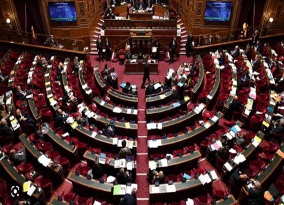 La aprobación fue sancionada con 201 votos a favor y 115 en contra, después de una intensa discusión entre la representación de la derecha y la izquierda en el Congreso Francés.