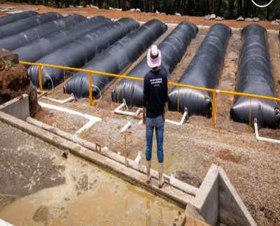 Los polímeros, del tamaño de granos de azúcar, absorben el agua, se expanden hasta 400 veces su peso y la raíz toma de ahí lo que necesita. Esta es una solución ante uno de los problemas más apremiantes del cambio climático, la escasez de agua y el hecho de que la agricultura la utiliza intensivamente y desperdicia más de la mitad por la evaporación.