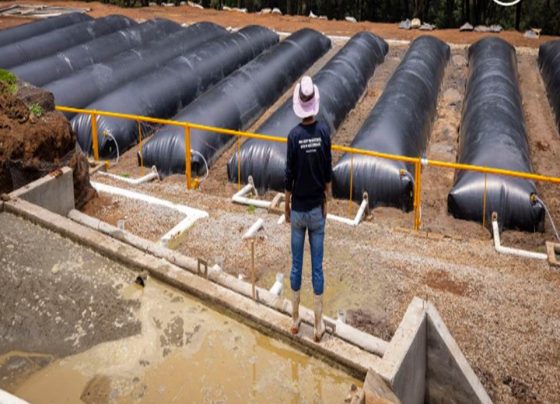 Los polímeros, del tamaño de granos de azúcar, absorben el agua, se expanden hasta 400 veces su peso y la raíz toma de ahí lo que necesita. Esta es una solución ante uno de los problemas más apremiantes del cambio climático, la escasez de agua y el hecho de que la agricultura la utiliza intensivamente y desperdicia más de la mitad por la evaporación.