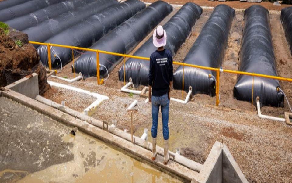 Los polímeros, del tamaño de granos de azúcar, absorben el agua, se expanden hasta 400 veces su peso y la raíz toma de ahí lo que necesita. Esta es una solución ante uno de los problemas más apremiantes del cambio climático, la escasez de agua y el hecho de que la agricultura la utiliza intensivamente y desperdicia más de la mitad por la evaporación.