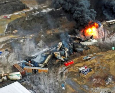 La cifra oficial dada por los funcionarios es de casi 40.000 peces pequeños muertos y unas 6.000 otras especies que incluyen otro tipo de peces, cangrejos de río y anfibios.