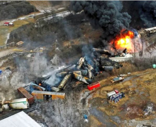 La cifra oficial dada por los funcionarios es de casi 40.000 peces pequeños muertos y unas 6.000 otras especies que incluyen otro tipo de peces, cangrejos de río y anfibios.