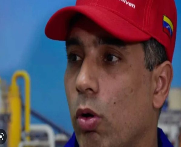 Tellechea es ingeniero mecánico con especialización en armamento de la Escuela Superior del Ejército Argentino, licenciado en Ciencias y Artes Militares, ejerció como gerente general de la Empresa Mixta Metanol de Oriente, Metor S.A., también fue Presidente de la Industria Venezolana del Aluminio C.A.