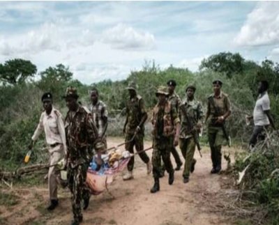 El macabro recuento de víctimas continúa en el bosque de Chacaola en el este de Kenia, donde se hallaron otros 17 cadáveres de miembros de una secta que promueve el ayuno extremo para conocer a Jesús.