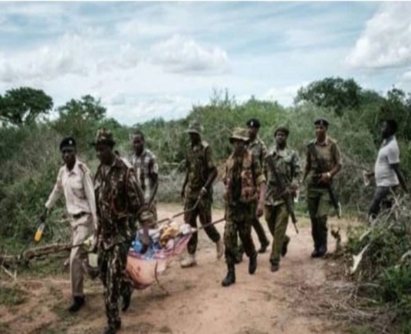 El macabro recuento de víctimas continúa en el bosque de Chacaola en el este de Kenia, donde se hallaron otros 17 cadáveres de miembros de una secta que promueve el ayuno extremo para conocer a Jesús.
