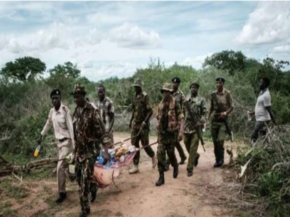 El macabro recuento de víctimas continúa en el bosque de Chacaola en el este de Kenia, donde se hallaron otros 17 cadáveres de miembros de una secta que promueve el ayuno extremo para conocer a Jesús.