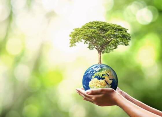 Al conmemorarse el Día de la Tierra, una fecha creada para crear conciencia sobre la importancia de proteger el medio ambiente, la Organización Meteorológica Mundial publicó su informe sobre el estado del clima global.
