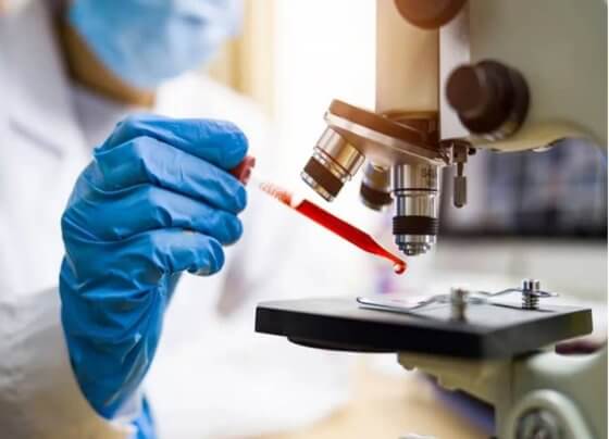 Especialistas de la Universidad de Vanderbilt y la Universidad de la República en Uruguay, junto a otros centros de investigación internacionales, lograron resucitar un “anticuerpo muerto” para revelar los misterios del citocromo c, una proteína versátil que es una parte esencial del funcionamiento de las células, clave en su capacidad de generar energía y, en síntesis, para la vida misma.