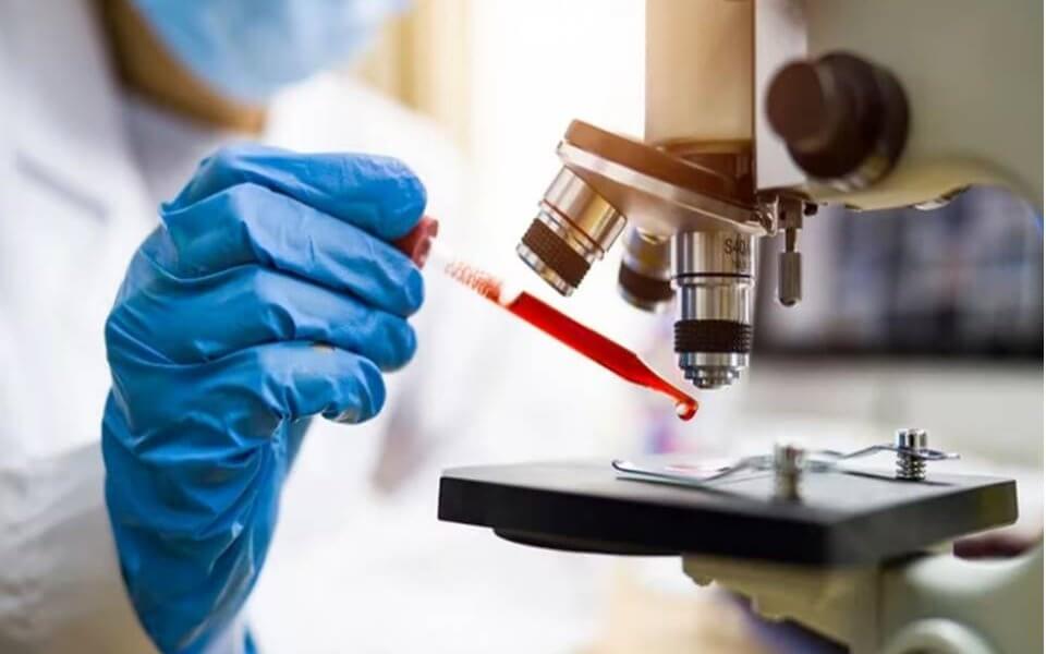 Especialistas de la Universidad de Vanderbilt y la Universidad de la República en Uruguay, junto a otros centros de investigación internacionales, lograron resucitar un “anticuerpo muerto” para revelar los misterios del citocromo c, una proteína versátil que es una parte esencial del funcionamiento de las células, clave en su capacidad de generar energía y, en síntesis, para la vida misma.