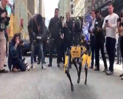 El Departamento de Policía de Nueva York ha incorporado también al robot de seguridad autónomo K5 y al accesorio StarChase GPS. Digidog tuvo que ser retirado por las críticas recibidas por parte de diversos defensores de los derechos civiles.