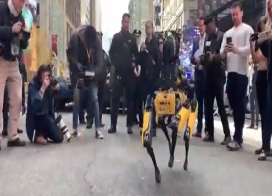 El Departamento de Policía de Nueva York ha incorporado también al robot de seguridad autónomo K5 y al accesorio StarChase GPS. Digidog tuvo que ser retirado por las críticas recibidas por parte de diversos defensores de los derechos civiles.