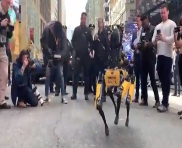 El Departamento de Policía de Nueva York ha incorporado también al robot de seguridad autónomo K5 y al accesorio StarChase GPS. Digidog tuvo que ser retirado por las críticas recibidas por parte de diversos defensores de los derechos civiles.
