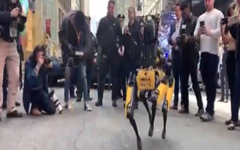 El Departamento de Policía de Nueva York ha incorporado también al robot de seguridad autónomo K5 y al accesorio StarChase GPS. Digidog tuvo que ser retirado por las críticas recibidas por parte de diversos defensores de los derechos civiles.