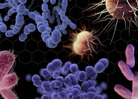 Hasta diez millones de personas podrían morir anualmente de aquí a 2050 debido a la resistencia a los medicamentos que han desarrollado algunas bacterias y otros microbios, según afirma el Programa de las Naciones Unidas para el Medio Ambiente