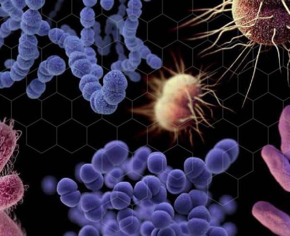 Hasta diez millones de personas podrían morir anualmente de aquí a 2050 debido a la resistencia a los medicamentos que han desarrollado algunas bacterias y otros microbios, según afirma el Programa de las Naciones Unidas para el Medio Ambiente