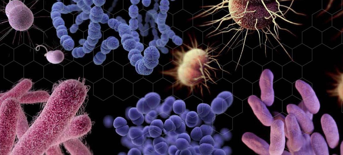 Hasta diez millones de personas podrían morir anualmente de aquí a 2050 debido a la resistencia a los medicamentos que han desarrollado algunas bacterias y otros microbios, según afirma el Programa de las Naciones Unidas para el Medio Ambiente