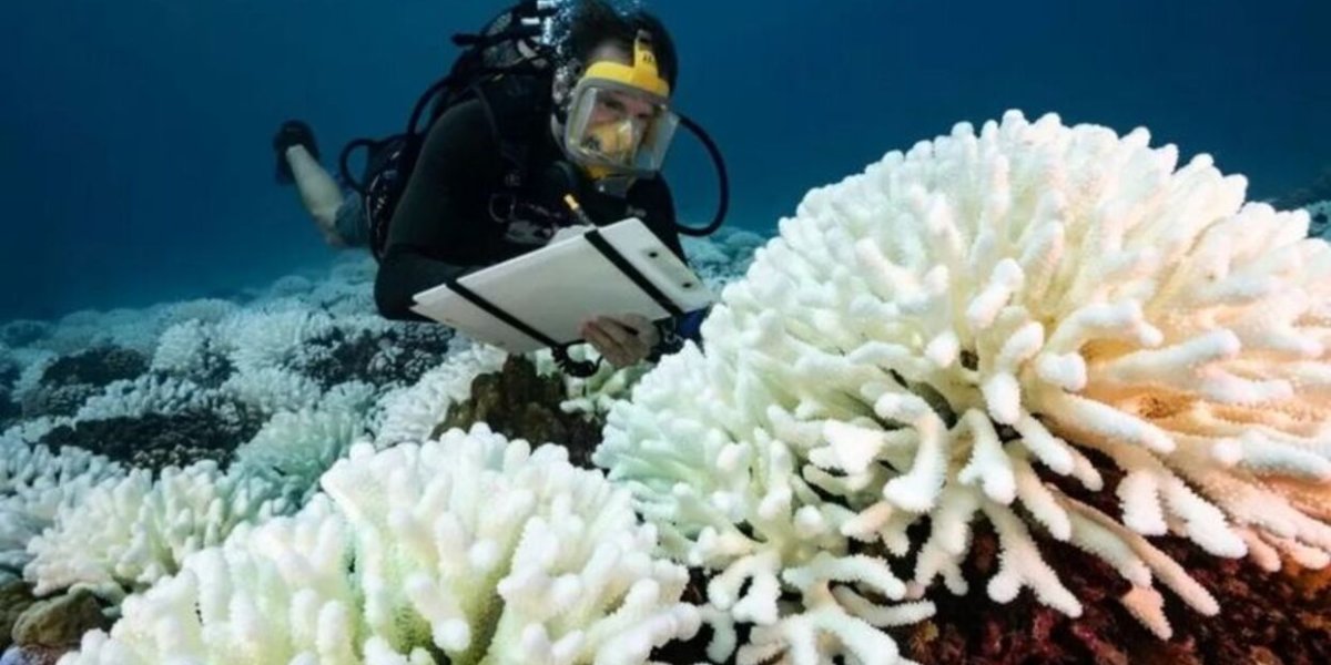 Recientemente la superficie del mar alcanzó un nuevo récord de temperatura en un proceso de calentamiento que los científicos reconocieron que no entienden muy bien