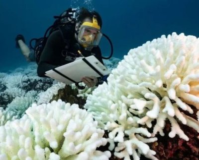 Recientemente la superficie del mar alcanzó un nuevo récord de temperatura en un proceso de calentamiento que los científicos reconocieron que no entienden muy bien
