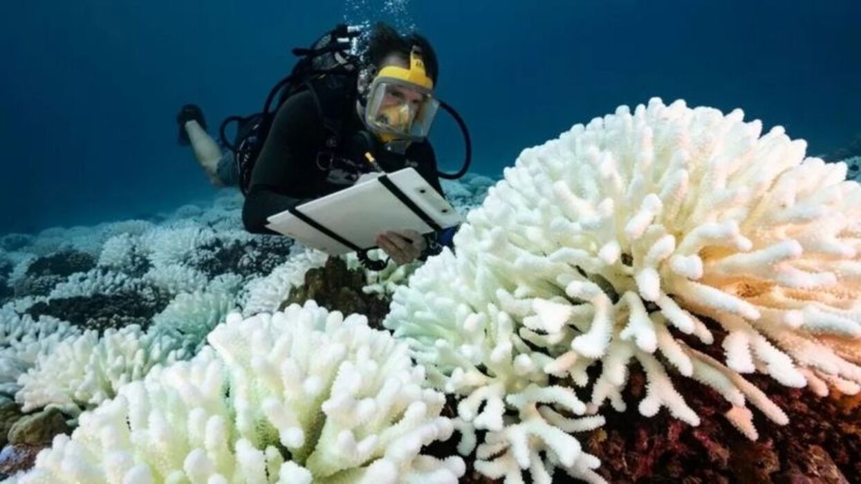 Recientemente la superficie del mar alcanzó un nuevo récord de temperatura en un proceso de calentamiento que los científicos reconocieron que no entienden muy bien