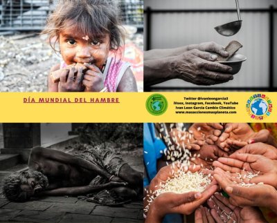 El 28 de mayo se celebra el Día Mundial del Hambre, una fecha que busca crear conciencia sobre la grave situación alimentaria que afrontan millones de personas en todo el mundo