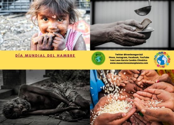 El 28 de mayo se celebra el Día Mundial del Hambre, una fecha que busca crear conciencia sobre la grave situación alimentaria que afrontan millones de personas en todo el mundo