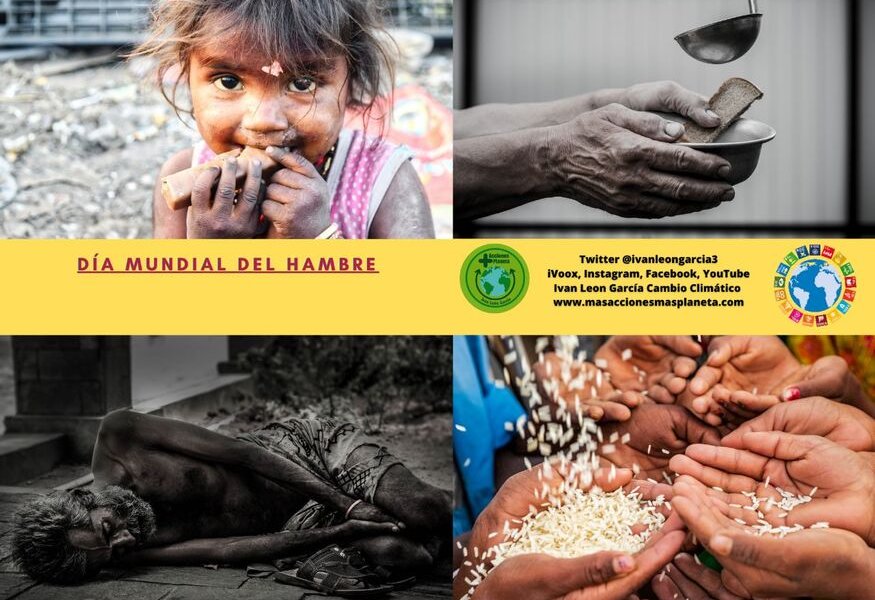 El 28 de mayo se celebra el Día Mundial del Hambre, una fecha que busca crear conciencia sobre la grave situación alimentaria que afrontan millones de personas en todo el mundo