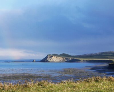 Los humedales representan el 40% de toda la biodiversidad del planeta y por ello hay que cuidarlos y recuperar los ya degradados. Los humedales cubren aproximadamente el 6% de la superficie terrestre y son vitales para la salud humana, el suministro de alimentos, el turismo y el empleo.