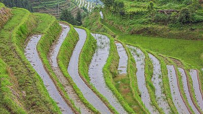 La urbanización acelerada está agravando los desafíos de gestión del agua para muchas ciudades en el mundo. La gestión de los recursos hídricos requiere nuevas soluciones para contrarrestar los crecientes desafíos de la disponibilidad de agua, derivados del aumento de población en áreas urbanas y del cambio climático.
