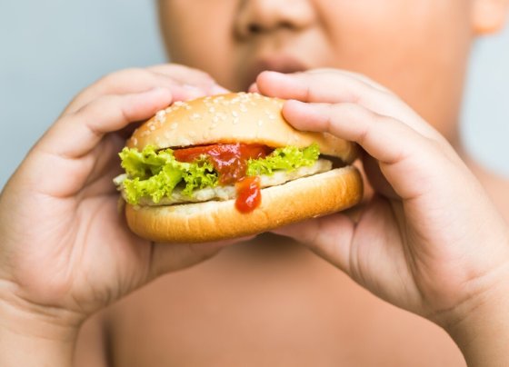 Actualmente la obesidad afecta considerablemente la calidad de vida de niños y jóvenes latinoamericanos y el problema va en aumento.