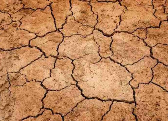 Esta fecha fue establecida por la ONU con el objetivo de crear conciencia