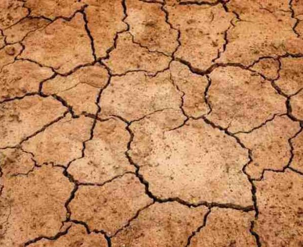 Esta fecha fue establecida por la ONU con el objetivo de crear conciencia